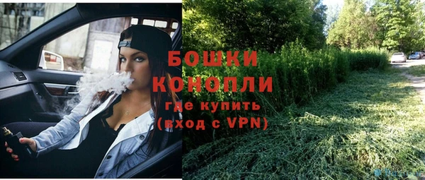 ГАЛЛЮЦИНОГЕННЫЕ ГРИБЫ Кодинск