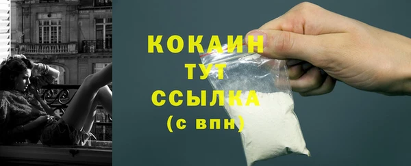 амф Болотное