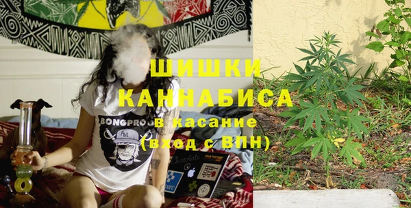 ГАЛЛЮЦИНОГЕННЫЕ ГРИБЫ Кодинск