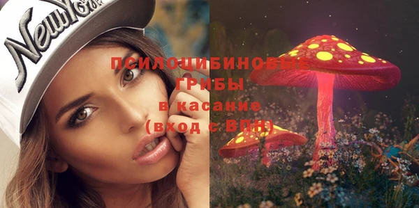 гидропоника Козельск